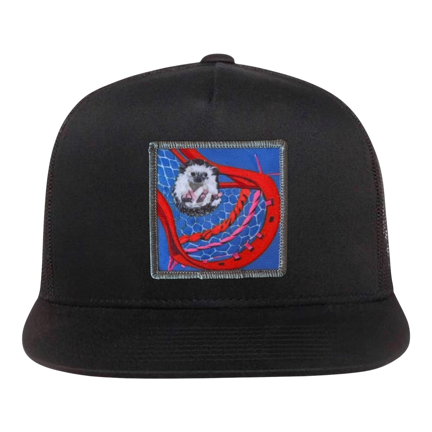 Ball Hog 5 Panel Cap Hats FlynHats Black