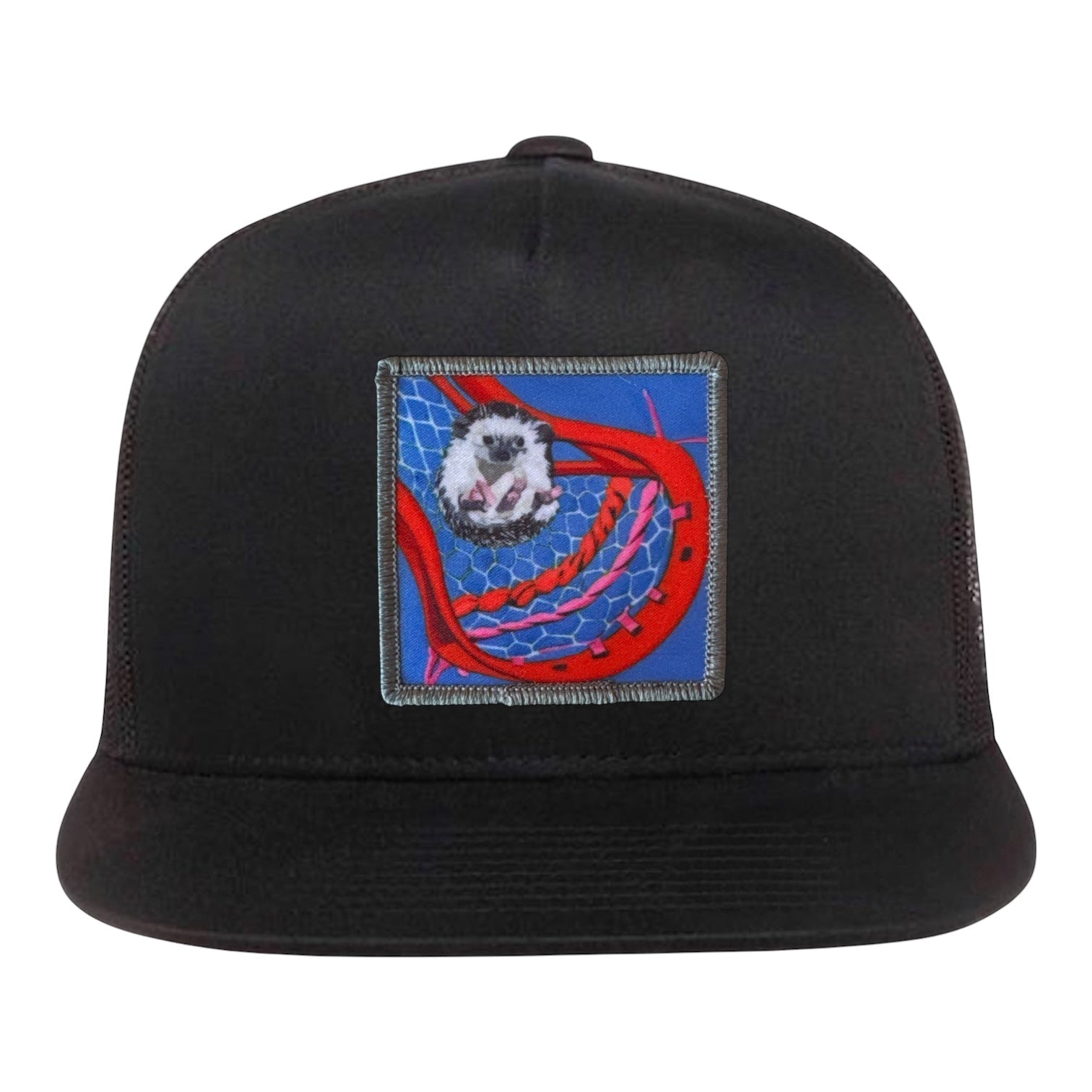Ball Hog 5 Panel Cap Hats FlynHats Black