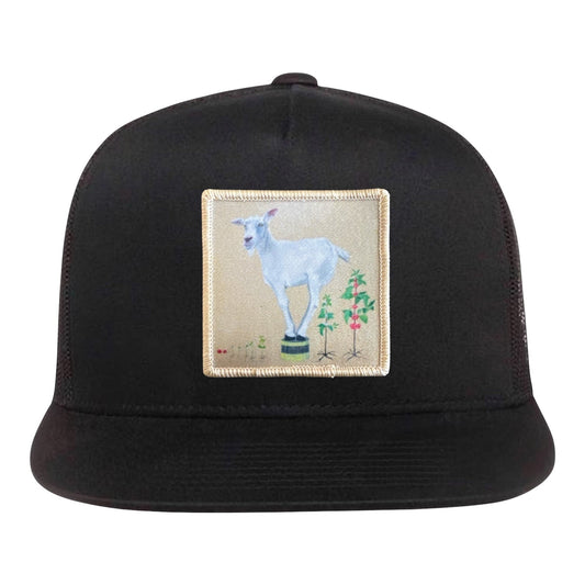 The Discoverer 5 Panel Cap Hats FlynHats Black