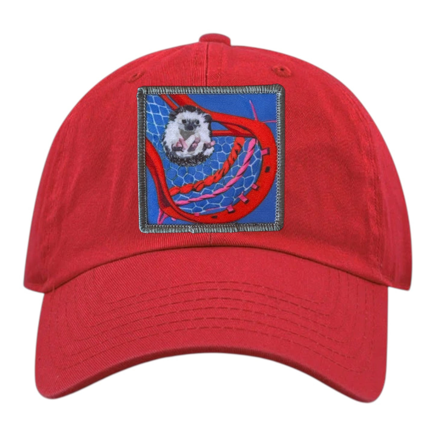 Youth Soft Red Hat Hats FlynHats Ball Hog