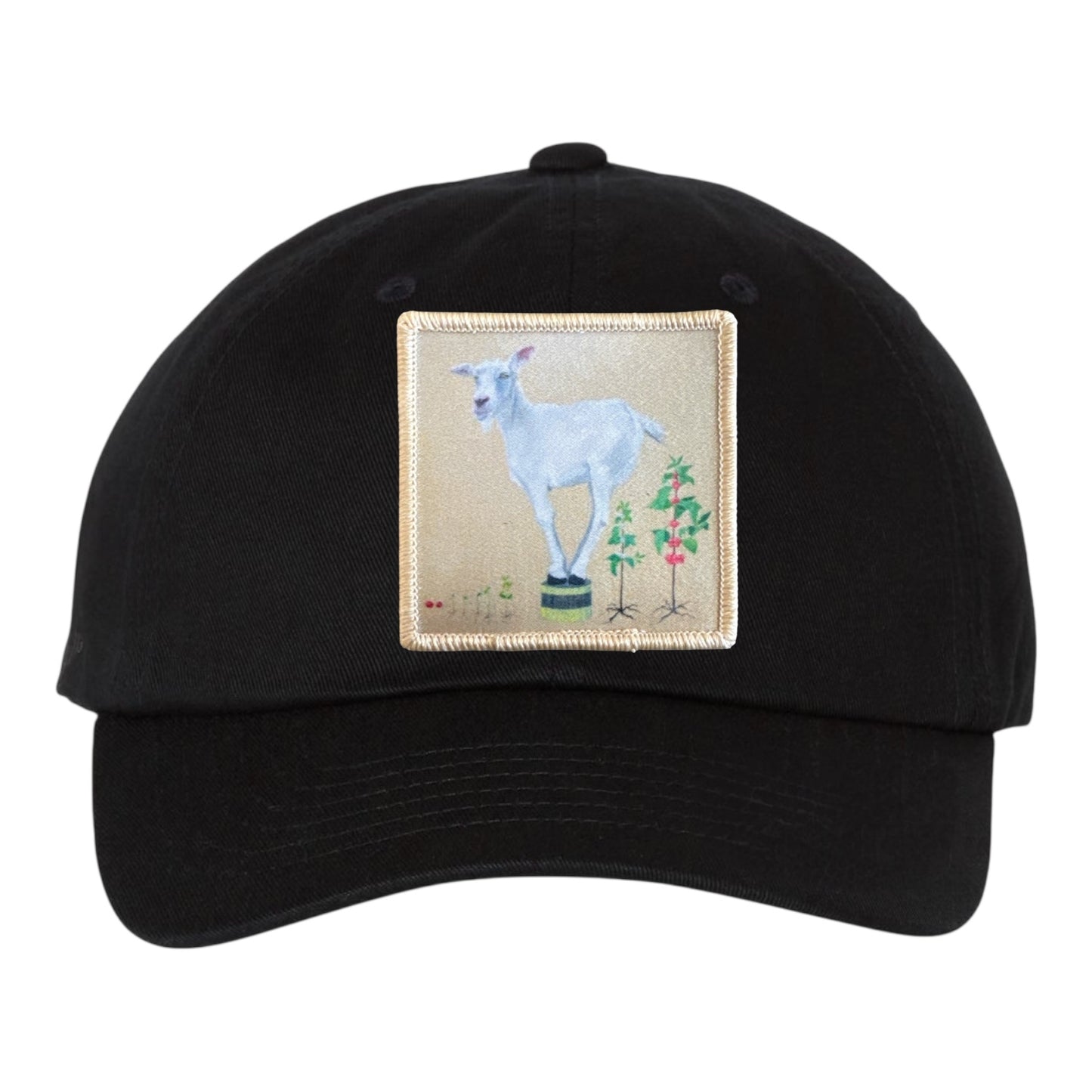 Eco-Washed Black Dad Hat