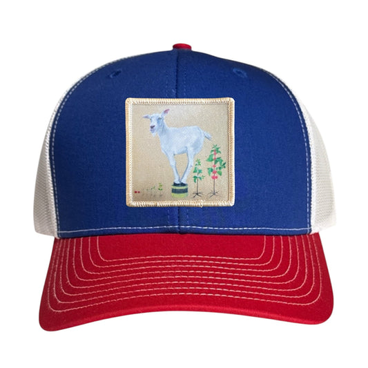 The Discoverer Trucker Hat Hats FlynHats Red/White/Royal