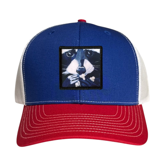 Raccoon Pop Trucker Hat Hats FlynHats Red/White/Royal