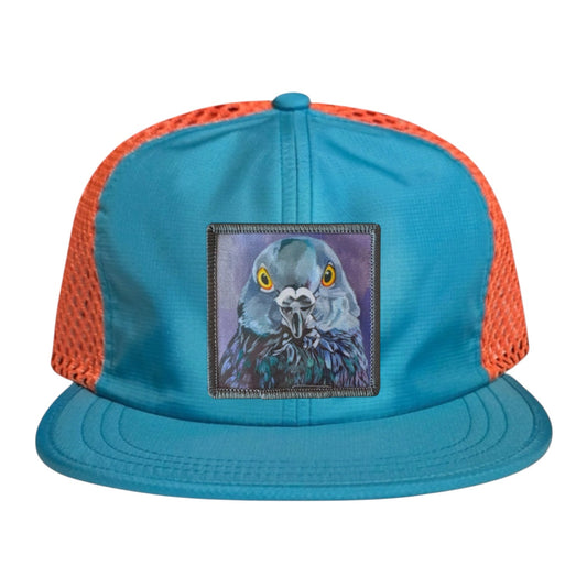City Bird Wideset Mesh Cap Hats FlynHats Orange/Teal