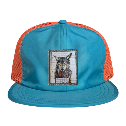 The Usual Suspects: Wolf Wideset Mesh Cap Hats FlynHats Orange/Teal