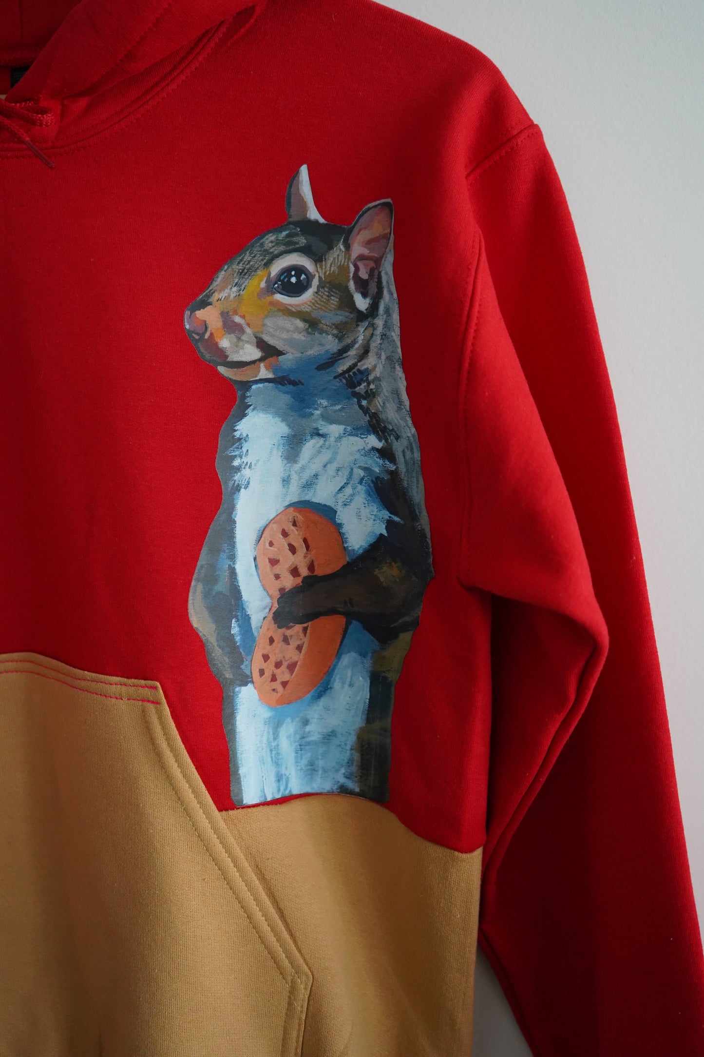 Peanut Squirrel Colorblock Hoodie Sweatshirt FlynHats