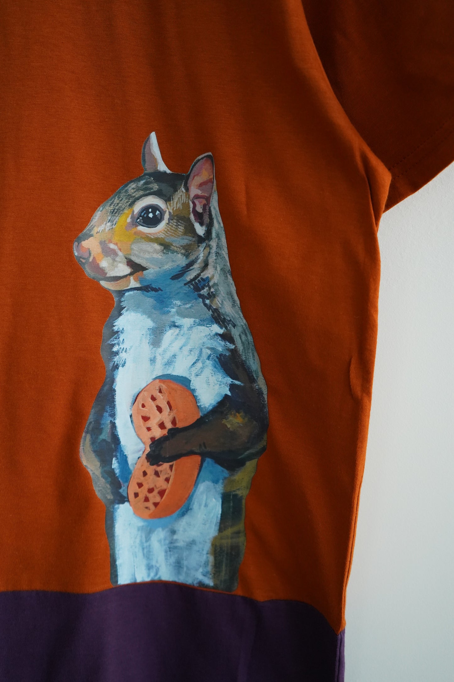 Peanut Squirrel Colorblock t-shirt FlynHats