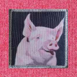 Piggie Beanie Hats Flyn Costello