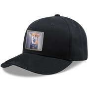 6 Panel Base Ball Cap Hats FlynHats The Usual Suspects: Fox  