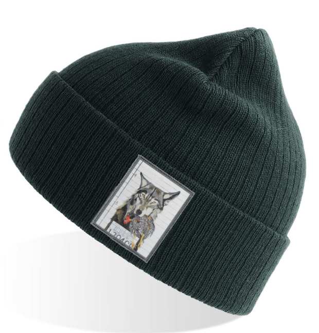 Green Sustainable Rib Knit Hats Flyn Costello Wolf  