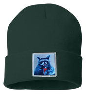 Camp Crasher Raccoon Beanie Hats Flyn Costello   