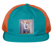 Wide Set Mesh Cap Orange/ Teal Hats FlynHats The Usual Suspects: Fox  
