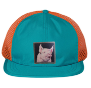 Wide Set Mesh Cap Orange/ Teal Hats FlynHats Piggie  
