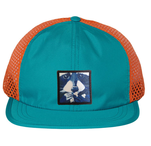 Wide Set Mesh Cap Orange/ Teal Hats FlynHats Raccoon Pop  