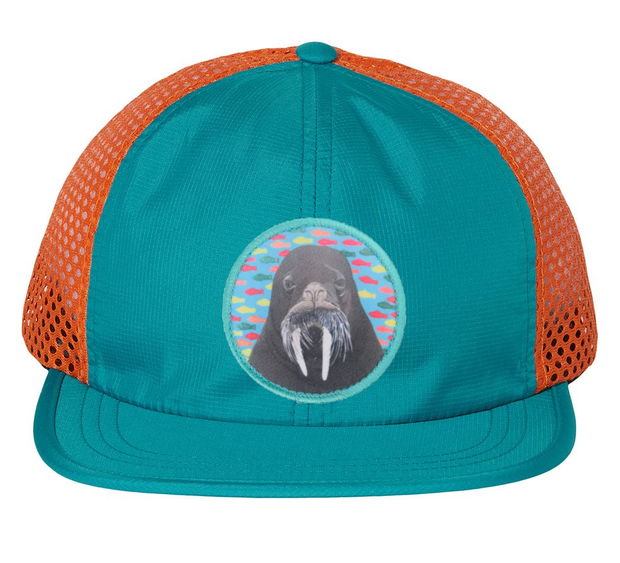 Wide Set Mesh Cap Orange/ Teal Hats FlynHats Walrus  