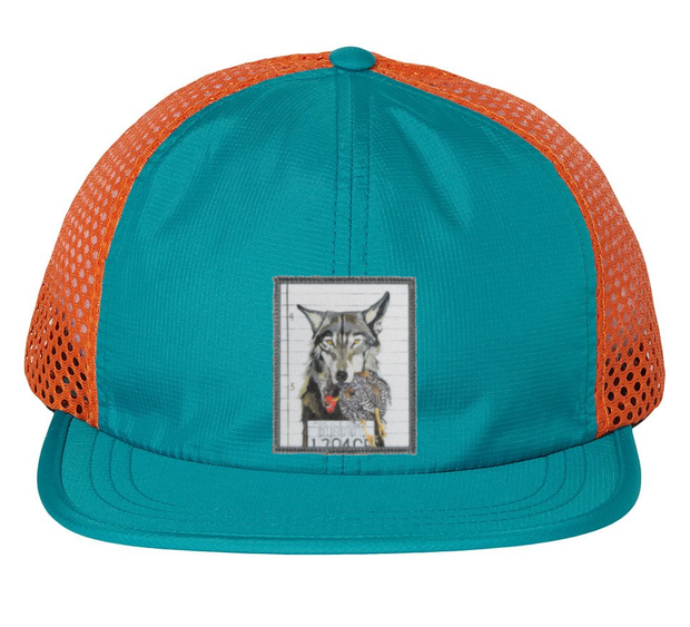 Wide Set Mesh Cap Orange/ Teal Hats FlynHats The Usual Suspects: Wolf  