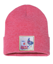 Pigeons Run on Donuts Beanie Hats Flyn Costello Heather Red  