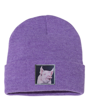 Piggie Beanie Hats Flyn Costello Heather Purple  