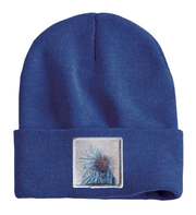 Porcupine Beanie Hats Flyn Costello Heather Blue  
