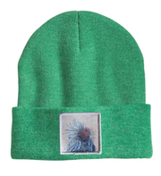 Porcupine Beanie Hats Flyn Costello Heather Green  