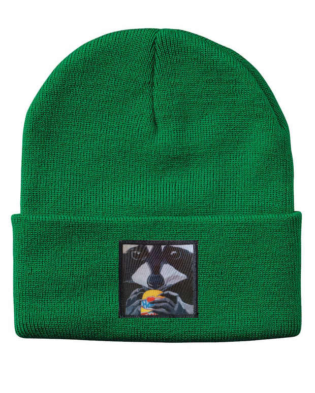 The Snack Kid Raccoon Beanie Hats Flyn Costello Kelley Green  