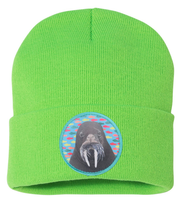 Walrus Dreams Beanie Hats Flyn Costello Neon Green  